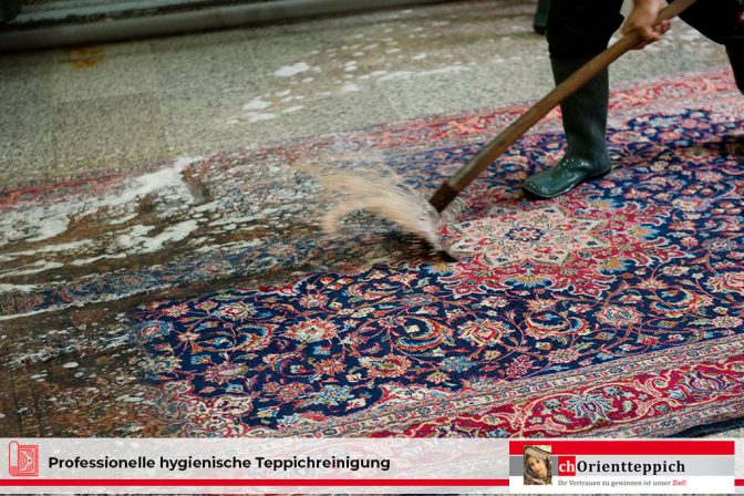 Professionelle hygienische Teppichreinigung
