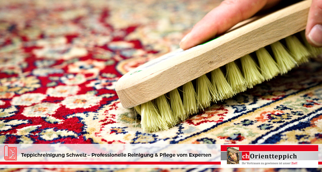 Teppichreinigung Schweiz – Professionelle Reinigung & Pflege vom Experten 6 Teppichservice Schweiz