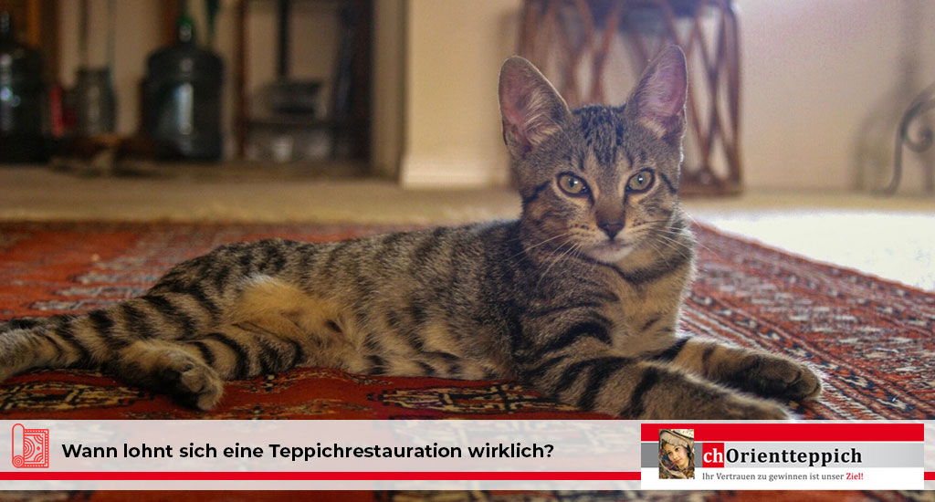 Wann lohnt sich eine Teppichrestauration wirklich? 6 Orientteppich restaurieren
